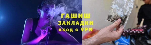 крисы Алзамай