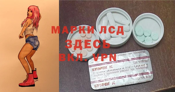 крисы Алзамай