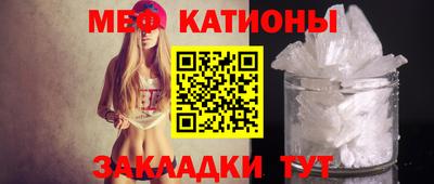 индика Кингисепп