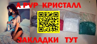 индика Кингисепп