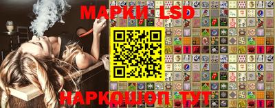 индика Кингисепп