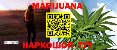 индика Кингисепп