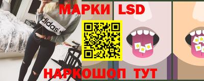 индика Кингисепп
