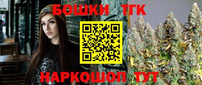 индика Кингисепп