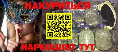 индика Кингисепп