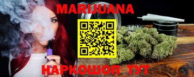 индика Кингисепп