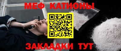 индика Кингисепп