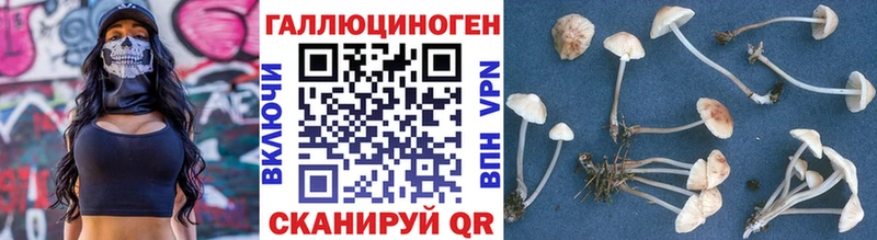 Псилоцибиновые грибы мухоморы  даркнет сайт  Сосновый Бор 