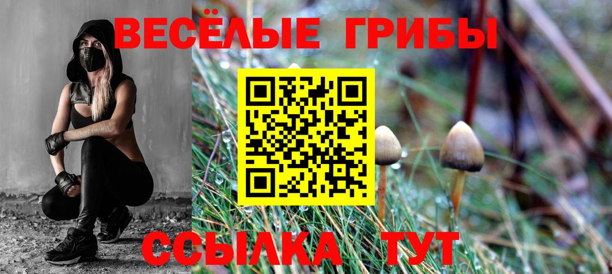 Сосновый Бор  Галлюциногенные грибы ЛСД  Вход с VPN 