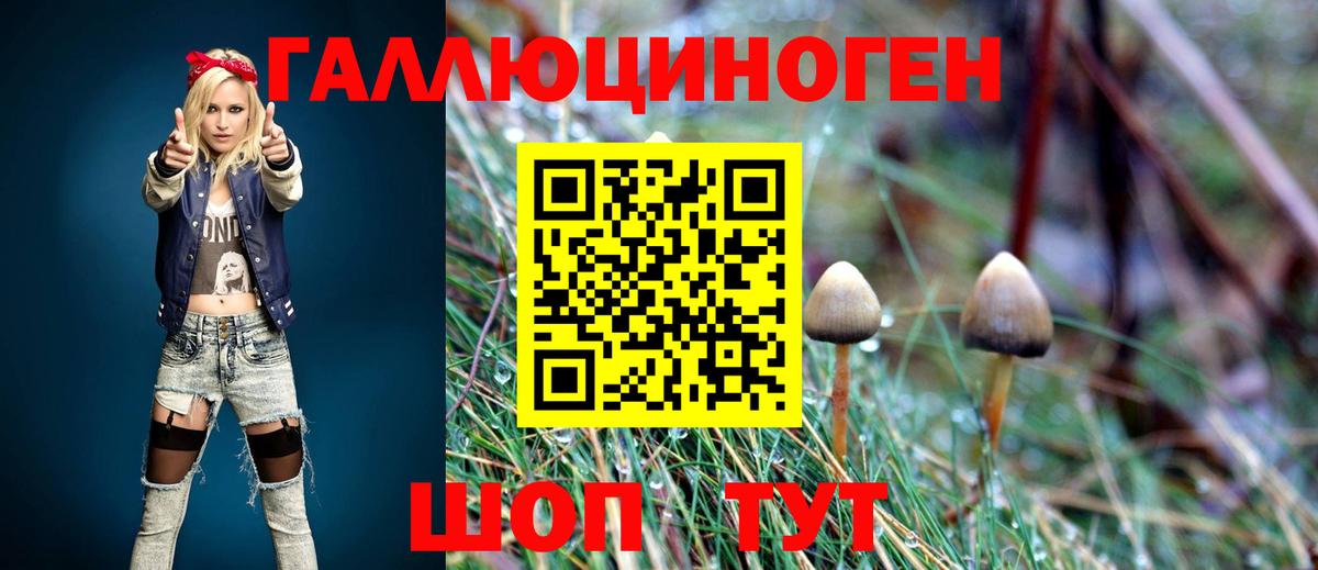 Псилоцибиновые грибы мицелий  Сосновый Бор 