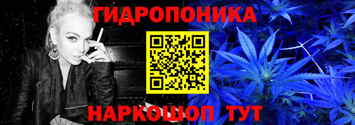 Канабис AK-47 Сосновый Бор